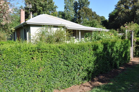 Honeysuckle Cottage - Northern Rivers Accommodation 1
