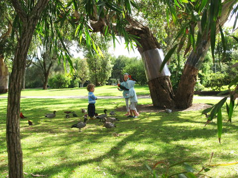 Kennett River Holiday Park - Northern Rivers Accommodation 1