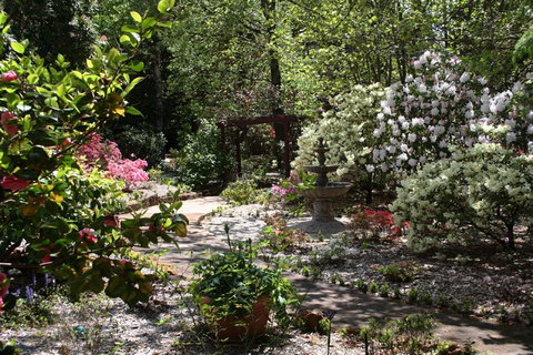 Kubba Roonga Guesthouse Spa Retreat - Northern Rivers Accommodation 2