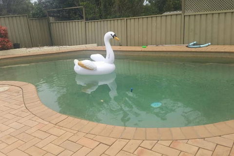 Landy's Holiday House - Northern Rivers Accommodation 0