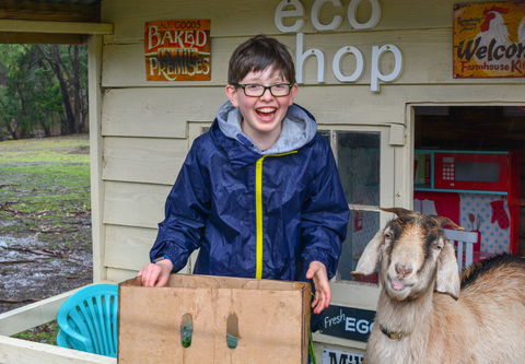 Morvern Valley Farm Stay Cottages - Northern Rivers Accommodation 1