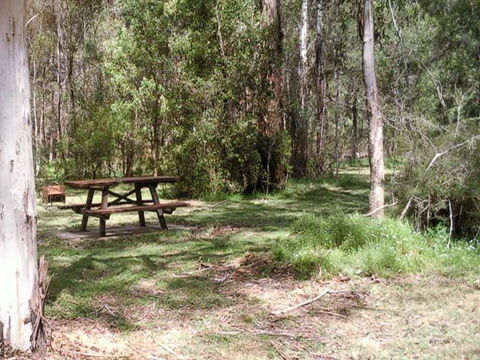 Mulloon Creek Campground - Northern Rivers Accommodation 0