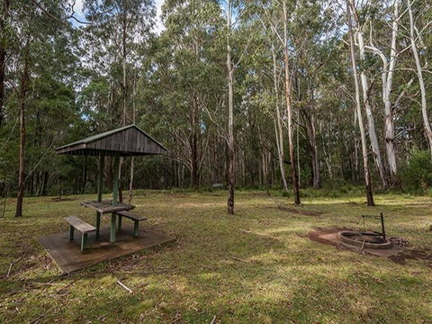 Nunnock Campground - Northern Rivers Accommodation 1