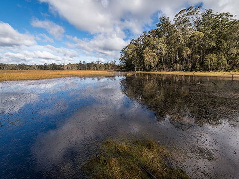 Nunnock Campground - Northern Rivers Accommodation 2