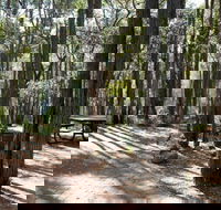 Perth Hills Centre Campground at Beelu National Park - Northern Rivers Accommodation