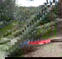 Platypus Flat campground - Northern Rivers Accommodation