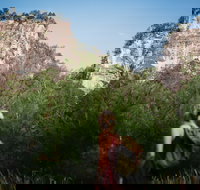 Sandstone Park Carnarvon Gorge - Northern Rivers Accommodation