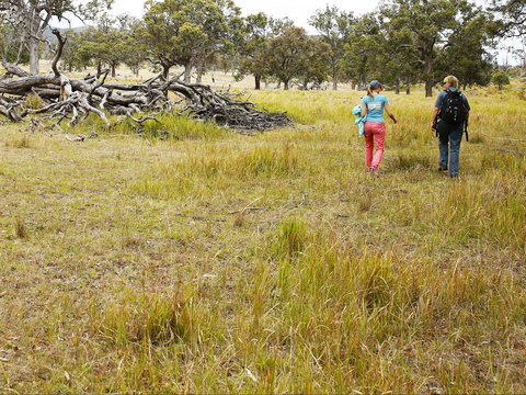 Sundown National Park Camping - Northern Rivers Accommodation 2