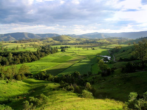 Water Gums Retreat - Northern Rivers Accommodation 1