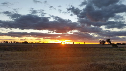 Whispering Pines Farm Stay - Northern Rivers Accommodation 0