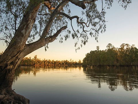 Woperana Campground - Northern Rivers Accommodation 0