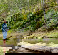 Bass Lodge - Northern Rivers Accommodation