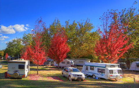 Beechworth Lake Sambell Caravan Park - Northern Rivers Accommodation 0