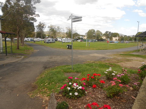 Berry Showground Camping - Northern Rivers Accommodation 1