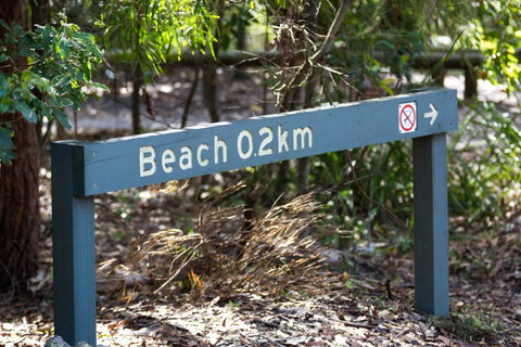Booderee National Park: Green Patch Camping Area - Northern Rivers Accommodation 2