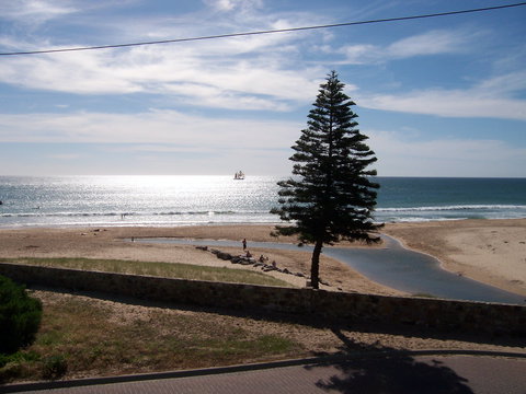 Christies Seahorse - Northern Rivers Accommodation 1