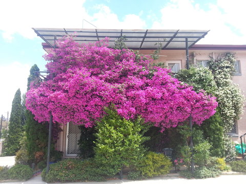 Crest Motor Inn - Northern Rivers Accommodation 0