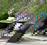 Cypress-pine campground - Northern Rivers Accommodation