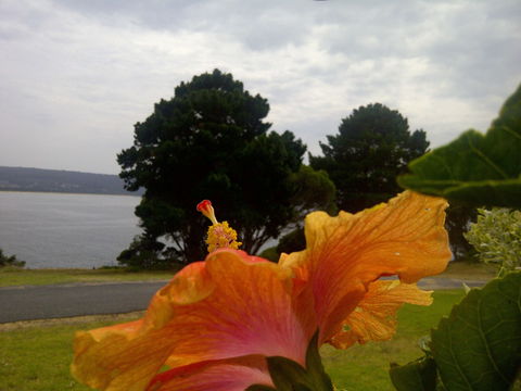 Eden Oceanview - Northern Rivers Accommodation 1