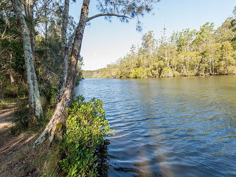 Ferny Creek Campground - Northern Rivers Accommodation 0