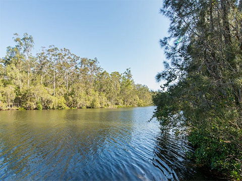 Ferny Creek Campground - Northern Rivers Accommodation 1
