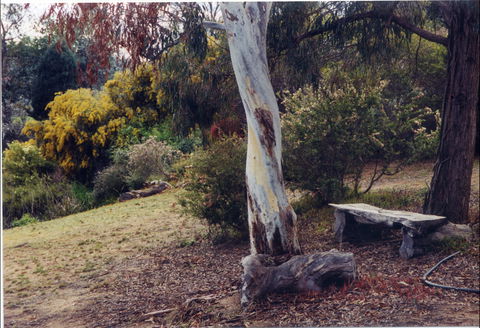Kurringai Cottage - Northern Rivers Accommodation 1