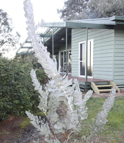 Kurringai Cottage - Northern Rivers Accommodation 2