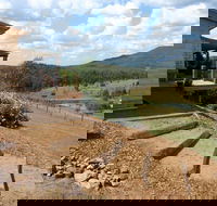 Lonely Goat Olive Farm - Northern Rivers Accommodation