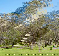 Main Range National Park camping - Northern Rivers Accommodation