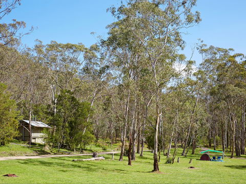 Main Range National Park Camping - Northern Rivers Accommodation 0