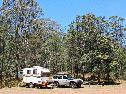 Main Range National Park Camping - Northern Rivers Accommodation 1