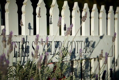 Mayfield Vineyard Cottages - Northern Rivers Accommodation 0