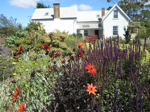 Robin Hood's Well Farm Stay - Northern Rivers Accommodation 2