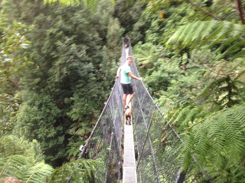 Rosebery Cabin And Tourist Park - Northern Rivers Accommodation 0