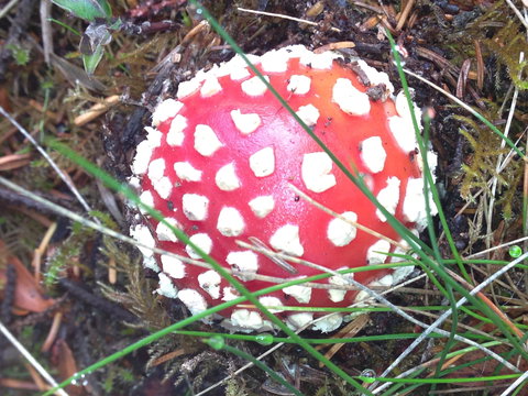 Rosebery Cabin And Tourist Park - Northern Rivers Accommodation 2