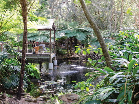 The Oasis And Wellness Centre  At One Mile Beach - Northern Rivers Accommodation 2