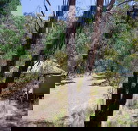 The Barracks campground - Northern Rivers Accommodation