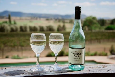 Tranquil Vale Vineyard - Northern Rivers Accommodation 0