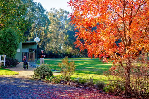 Airtree Golfers Resort - Northern Rivers Accommodation 0