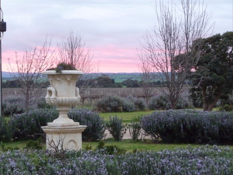 Angas Plains Wines Suites - Northern Rivers Accommodation 2