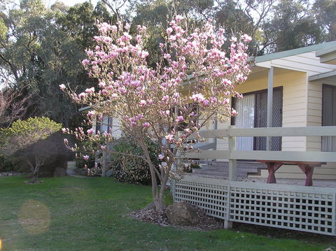 Annies Holiday Units - Northern Rivers Accommodation 0