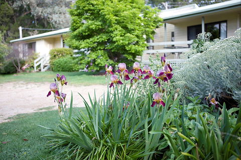 Annies Holiday Units - Northern Rivers Accommodation 2