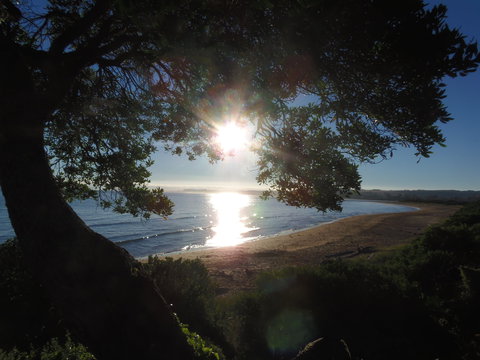 Apex Beachside Holiday Park - Northern Rivers Accommodation 1