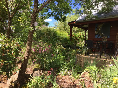 Artscape Cottage Beechworth - Northern Rivers Accommodation 2