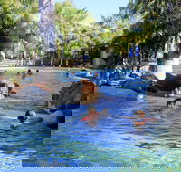 Big4 Aussie Outback Oasis Holiday Park - Northern Rivers Accommodation