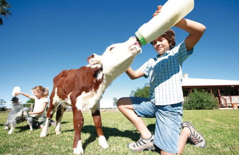 Charlotte Plains - Northern Rivers Accommodation 1