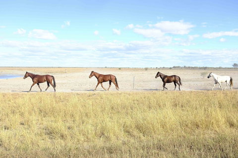 Charlotte Plains - Northern Rivers Accommodation 2
