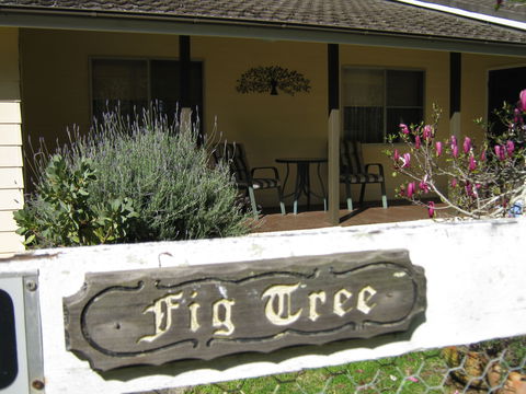 Figtree Cottage - Northern Rivers Accommodation 0