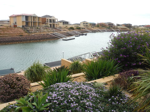 Happy Gilmore - Northern Rivers Accommodation 0