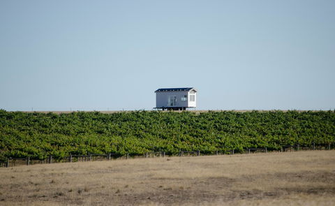 Hounds Run Vineyard - Northern Rivers Accommodation 0